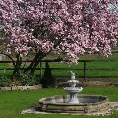 Landgut Vor Den Toren Von Koeln Διαμέρισμα Niederkassel